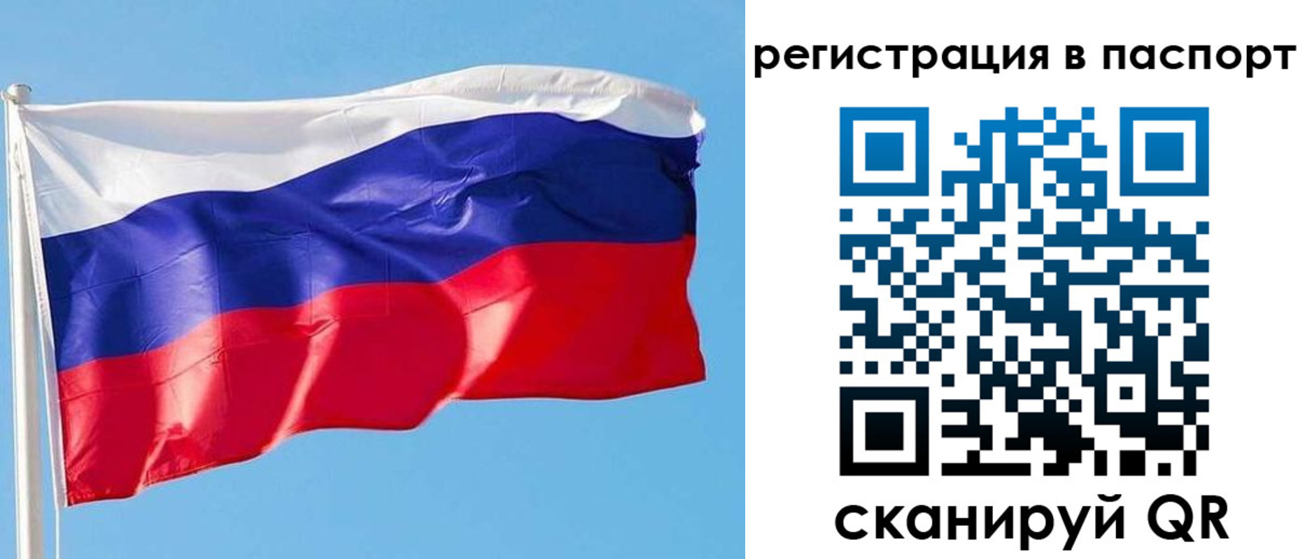 прописка законно в Скопине